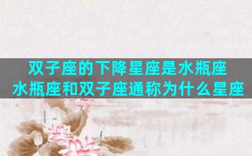 双子座的下降星座是水瓶座 水瓶座和双子座通称为什么星座